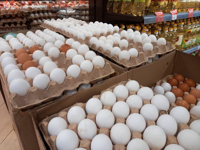 В преддверии Пасхи в Калининградской области пообещали снизить цены на яйца 