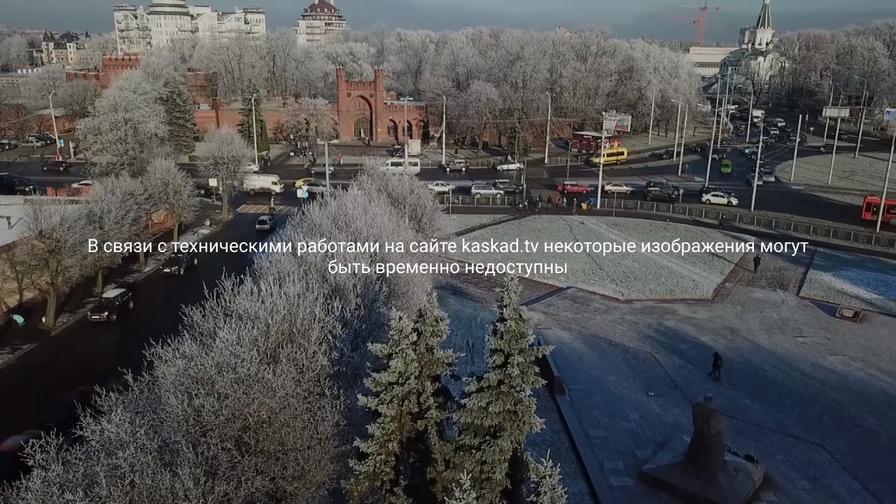 В Калининграде тележка из супермаркета вмёрзла в Нижнее озеро