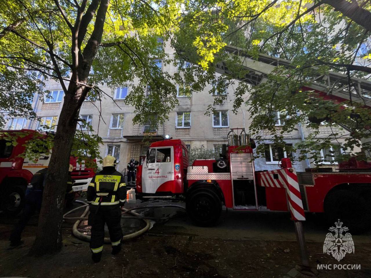 Каскад.тв - Спасли 8 человек: в Калининграде на улице Нансена загорелась  пятиэтажка