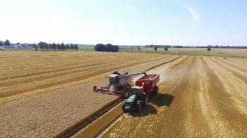 В Африку отправилась первая партия калининградского зерна