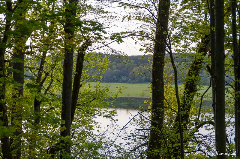 перкунас рамбинас камень 3