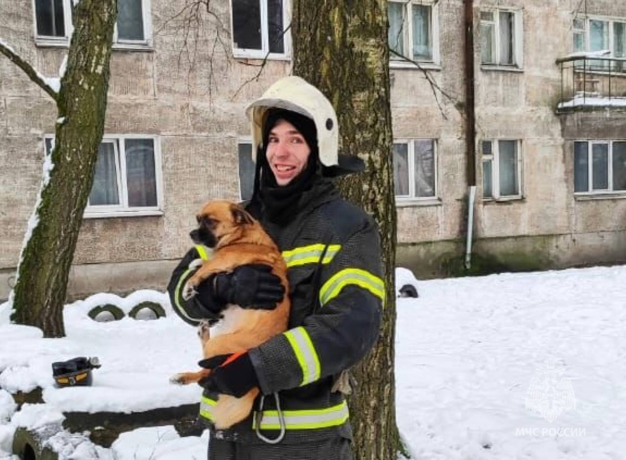 Каскад.тв - Пять человек и собаку без сознания эвакуировали из горящего  дома в Советске