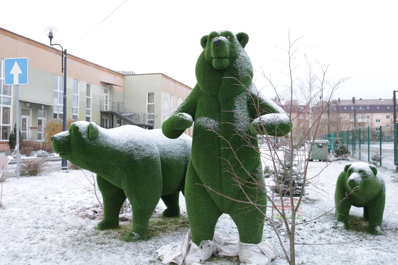 Медведи-«топиари» появились на улице Капитана Лямина в Калининграде