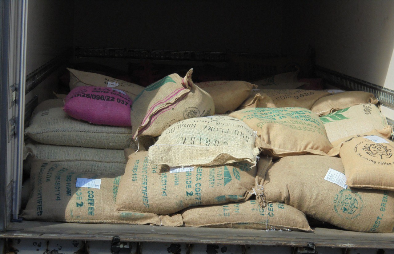 В Калининградскую область с начала года завезли около 55 тонн зеленого кофе