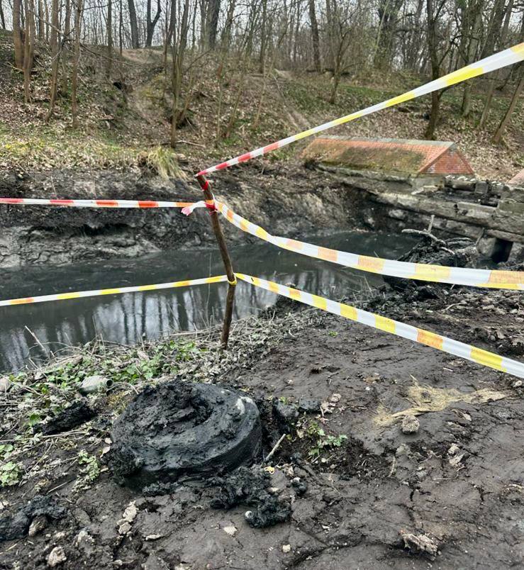 В Калининграде при расчистке Литовского ручья нашли противопехотную мину