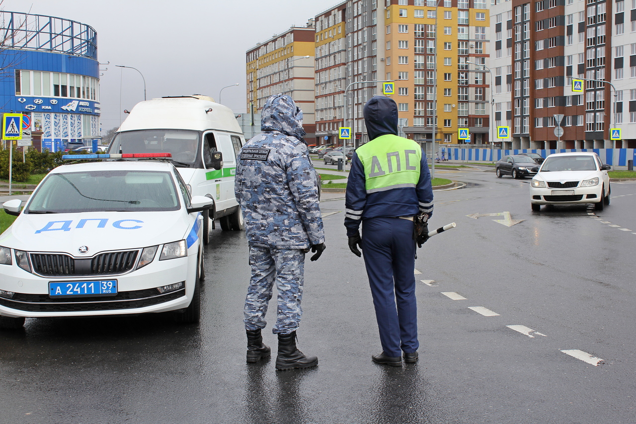 В ГИБДД напомнили, какая тонировка стекол автомобилей запрещена |  29.05.2024 | Новости Калининграда - БезФормата