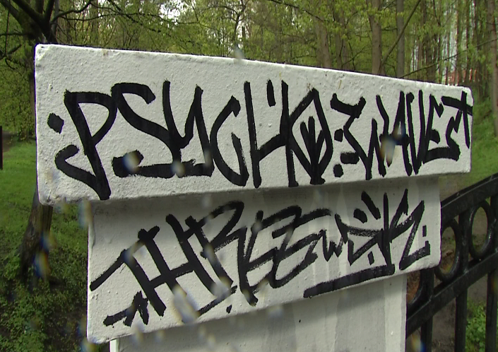 Калининградцы предложили наказание для художников-вандалов, которые разрисовали опоры у моста в Центральном парке