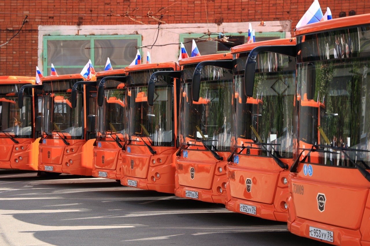 В Калининграде с 1 июня автобусы поедут по скорректированным расписаниям