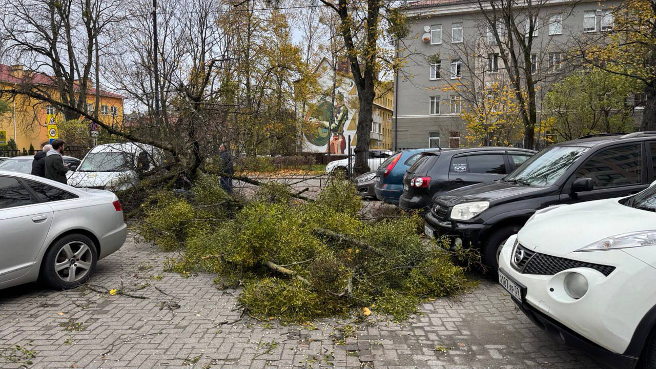 Штормовое предупреждение в Калининградской области продлится до 2 ноября