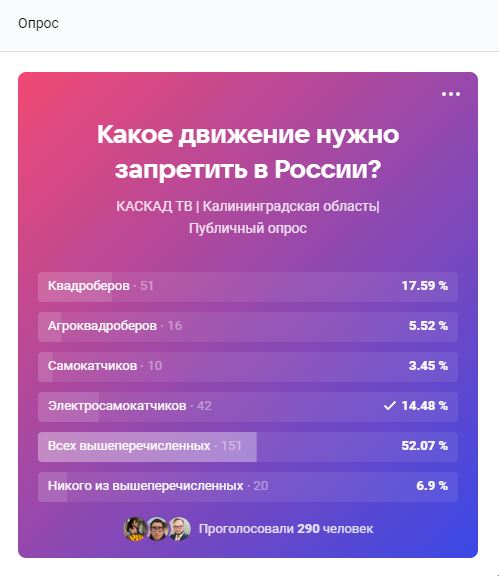 Калининградцам в равной степени не нравятся электросамокатчики и квадроберы  