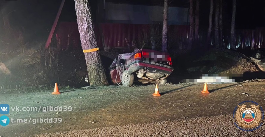 Под Калининградом водитель на иномарке врезался в дерево, погибла 17-летняя пассажирка