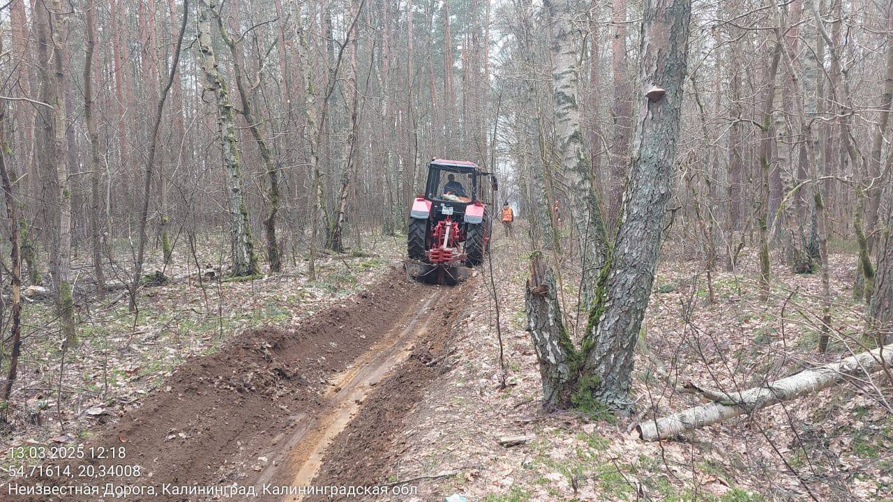 В Калининграде полностью обновили минерализованные полосы для остановки низовых лесных пожаров