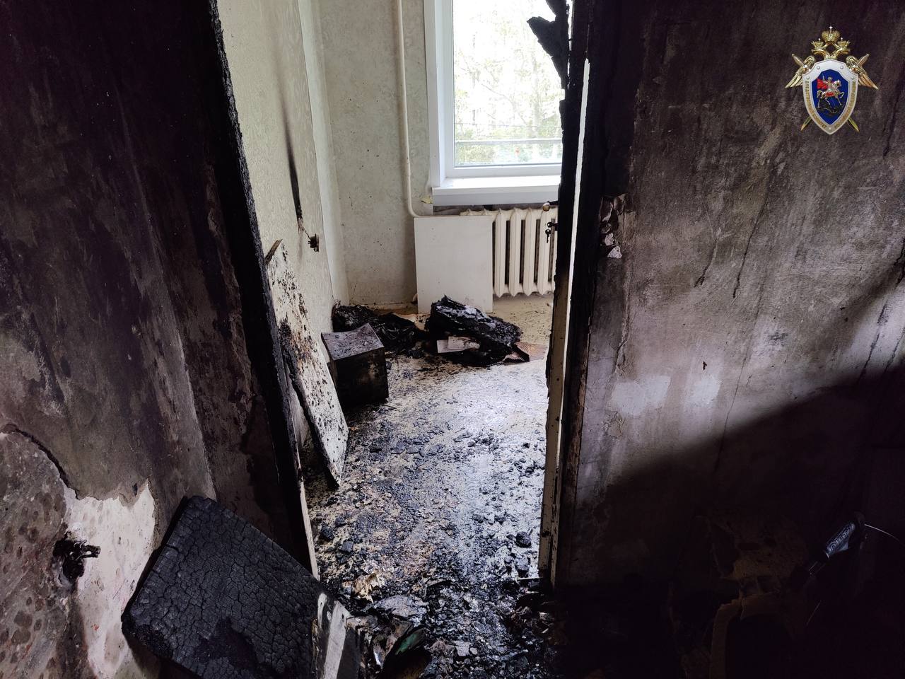 Следователи начали проверку по делу о пожаре в Васильково, в котором погибла пенсионерка