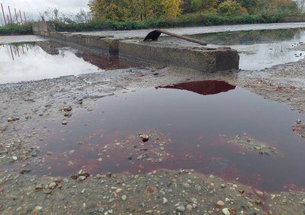 В Зеленоградском районе прокуроры начали проверку из-за свалки отходов на сельхозземлях В Зеленоградском районе прокуроры начали проверку из-за свалки отходов на сельхозземлях