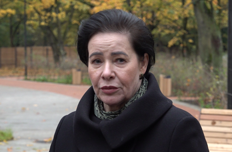 елена дятлова каштановый парк наше