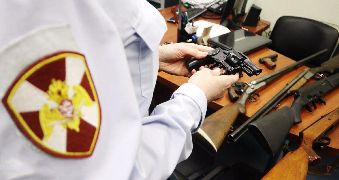 У калининградцев изъяли почти 500 единиц оружия за нарушения правил хранения