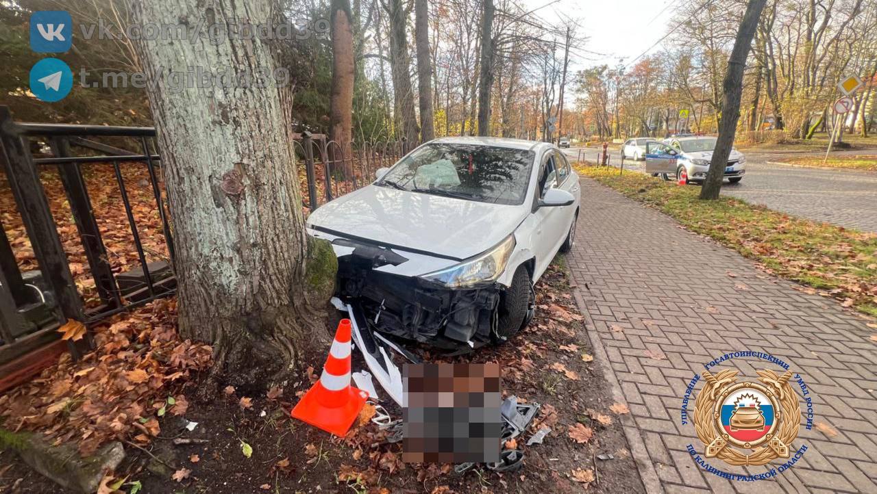 На Тельмана девушка на «Хёндэ» вылетела на тротуар и врезалась в дерево На Тельмана девушка на «Хёндэ» вылетела на тротуар и врезалась в дерево