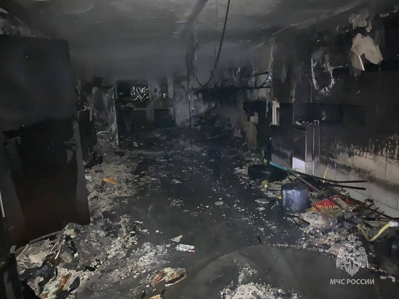 В Калининграде пожарные спасли собаку из горящего таунхауса В Калининграде пожарные спасли собаку из горящего таунхауса