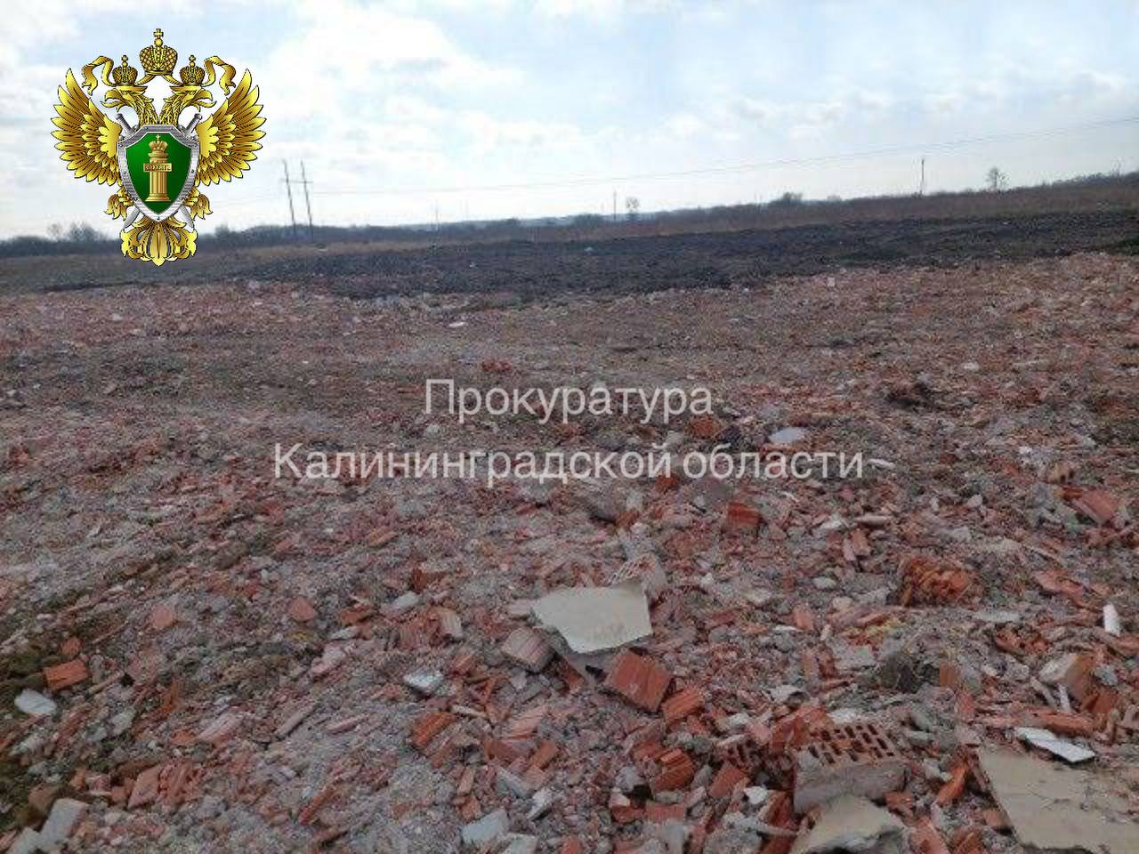 После вмешательства природоохранной прокуратуры под Зеленоградском ликвидировали незаконную свалку После вмешательства природоохранной прокуратуры под Зеленоградском ликвидировали незаконную свалку