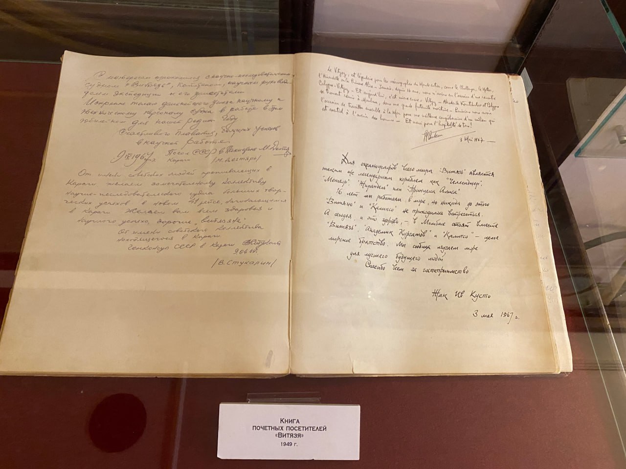 В Калининграде откроют выставку, посвящённую Жаку-Иву Кусто В Калининграде откроют выставку, посвящённую Жаку-Иву Кусто