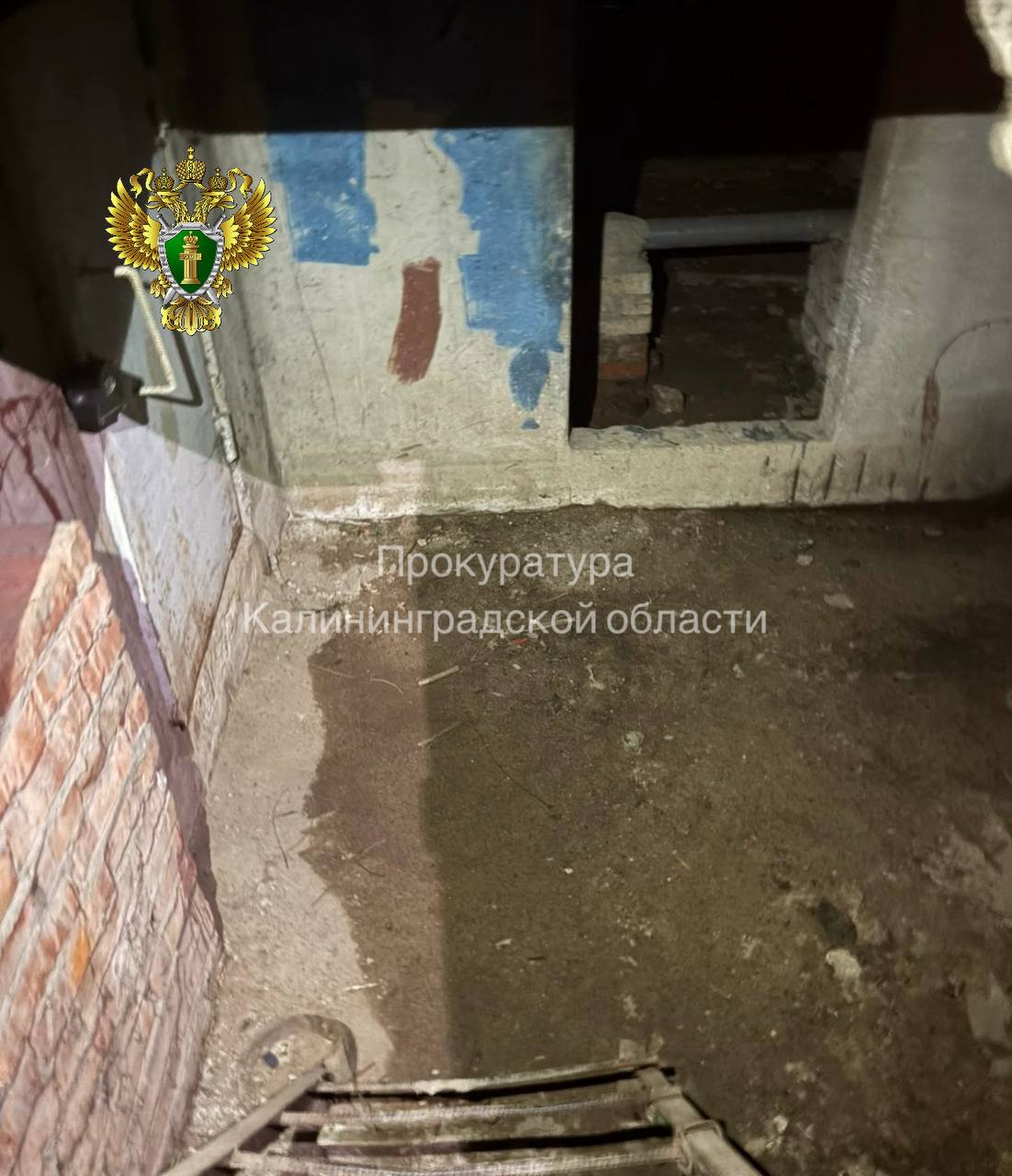 Прокуратура начала проверку из-за затопленного подвала многоквартирного дома в Калининграде Прокуратура начала проверку из-за затопленного подвала многоквартирного дома в Калининграде