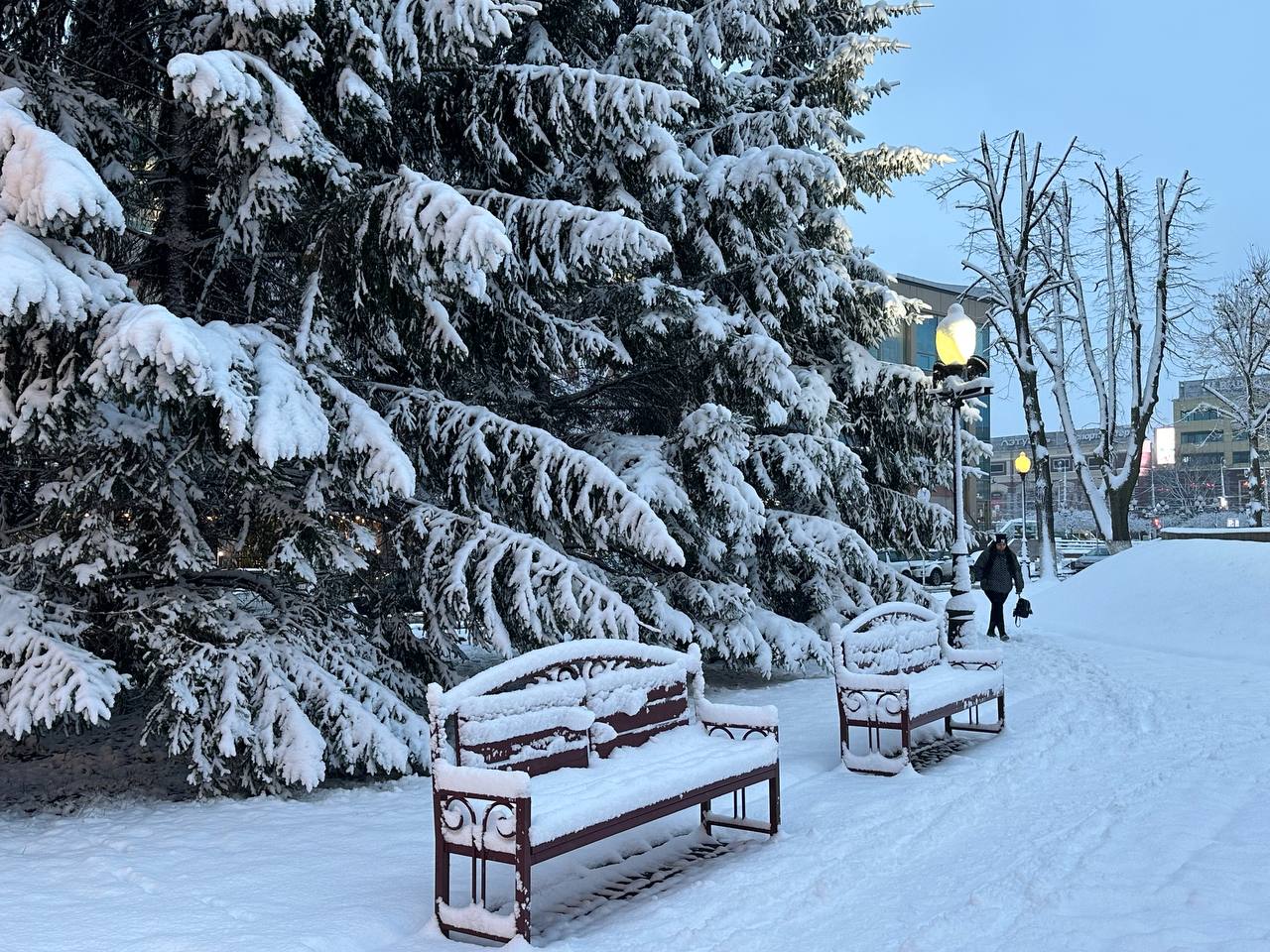 Долго ли пролежит снег в Калининграде: прогноз Гидрометцентра