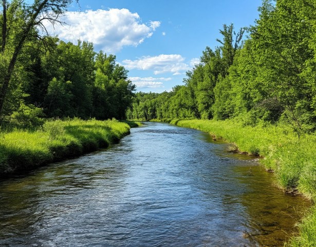 В Калининградской области расчистят более 56 километров рек и ручьёв В Калининградской области расчистят более 56 километров рек и ручьёв
