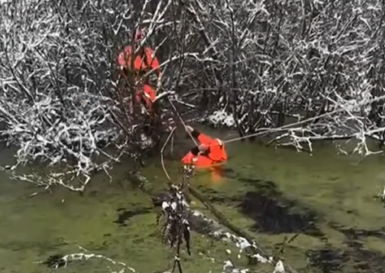 В Полесском районе спасли мужчину, который заблудился в лесу и увяз в болоте В Полесском районе спасли мужчину, который заблудился в лесу и увяз в болоте