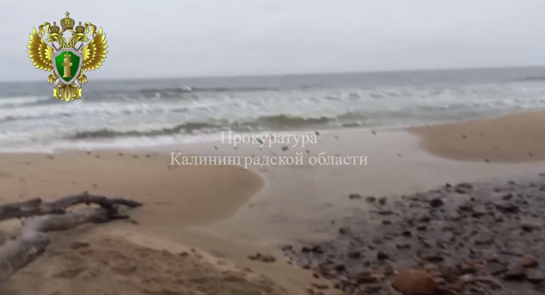 Прокуратура проверяет информацию о сливе канализации в Балтийское море Прокуратура проверяет информацию о сливе канализации в Балтийское море