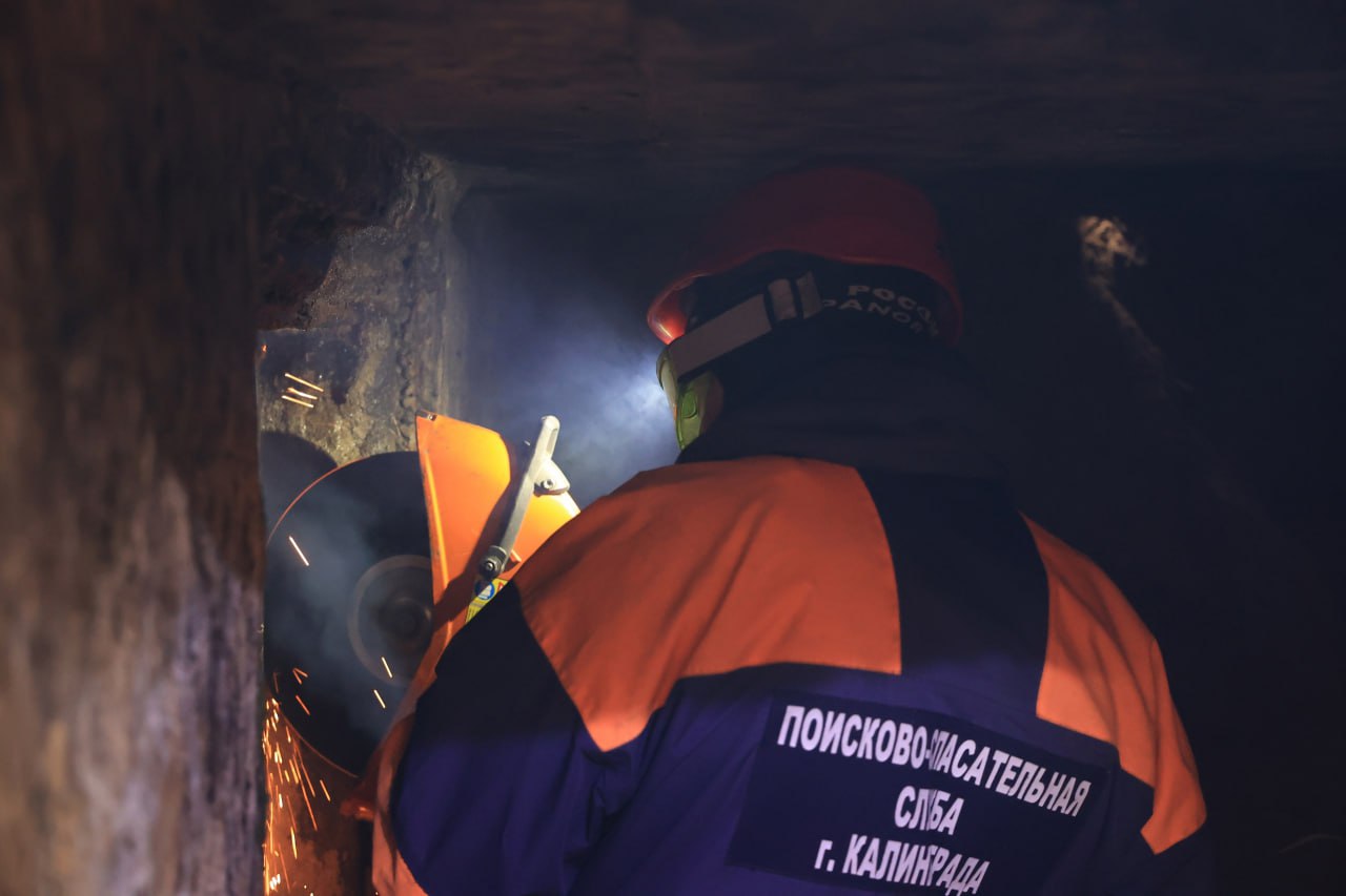 В Калининграде обследуют пять укрытий немецкой постройки, чтобы решить их судьбу