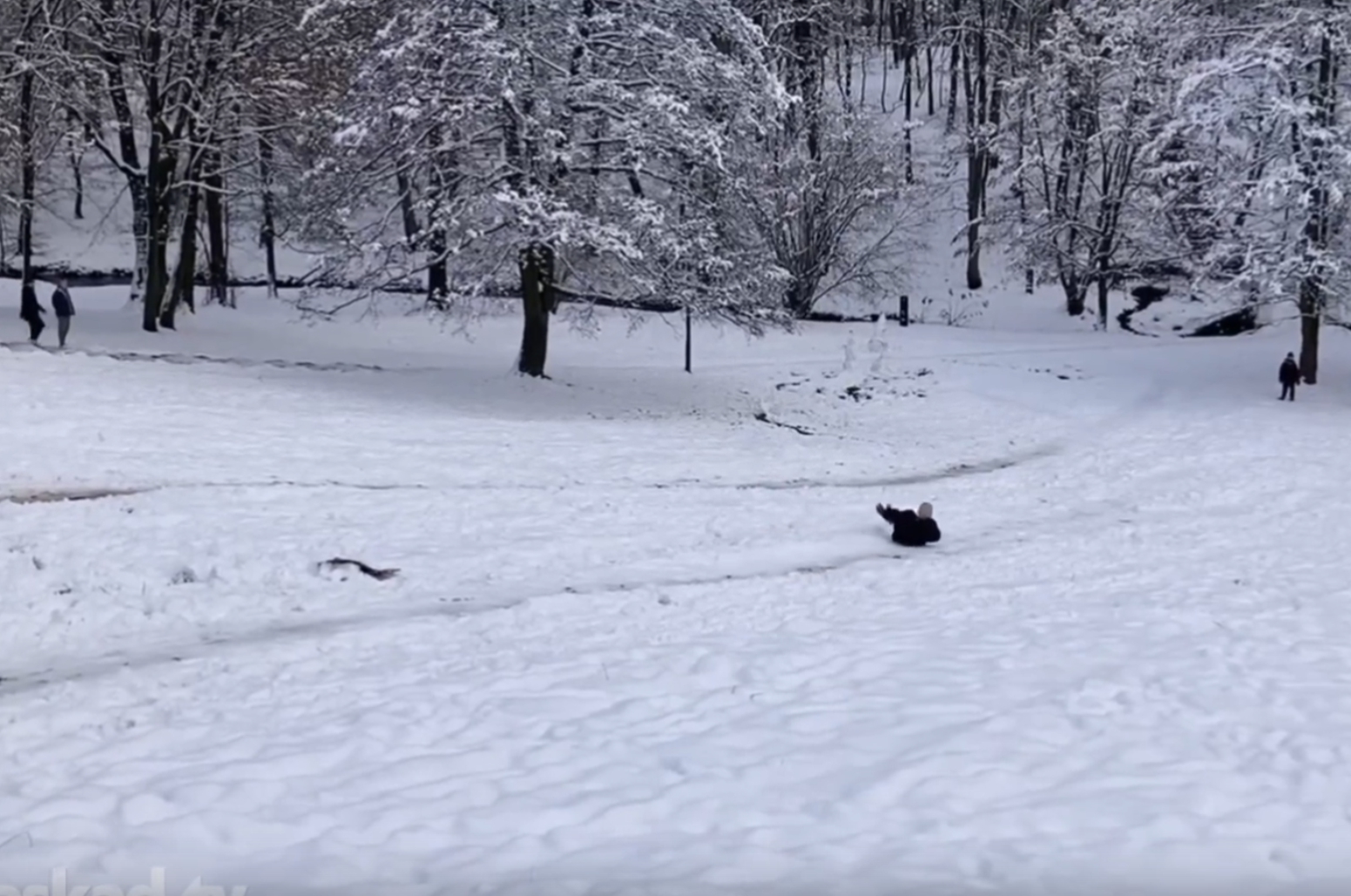 В Центральном парке вновь ввели запрет на катание с горок у ручья В Центральном парке вновь ввели запрет на катание с горок у ручья