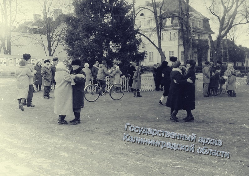 новый елка год 3