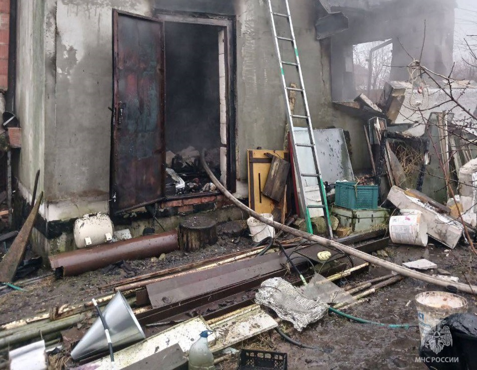 Огнеборцы спасли собаку во время пожара в СНТ «Голубево» Огнеборцы спасли собаку во время пожара в СНТ «Голубево»