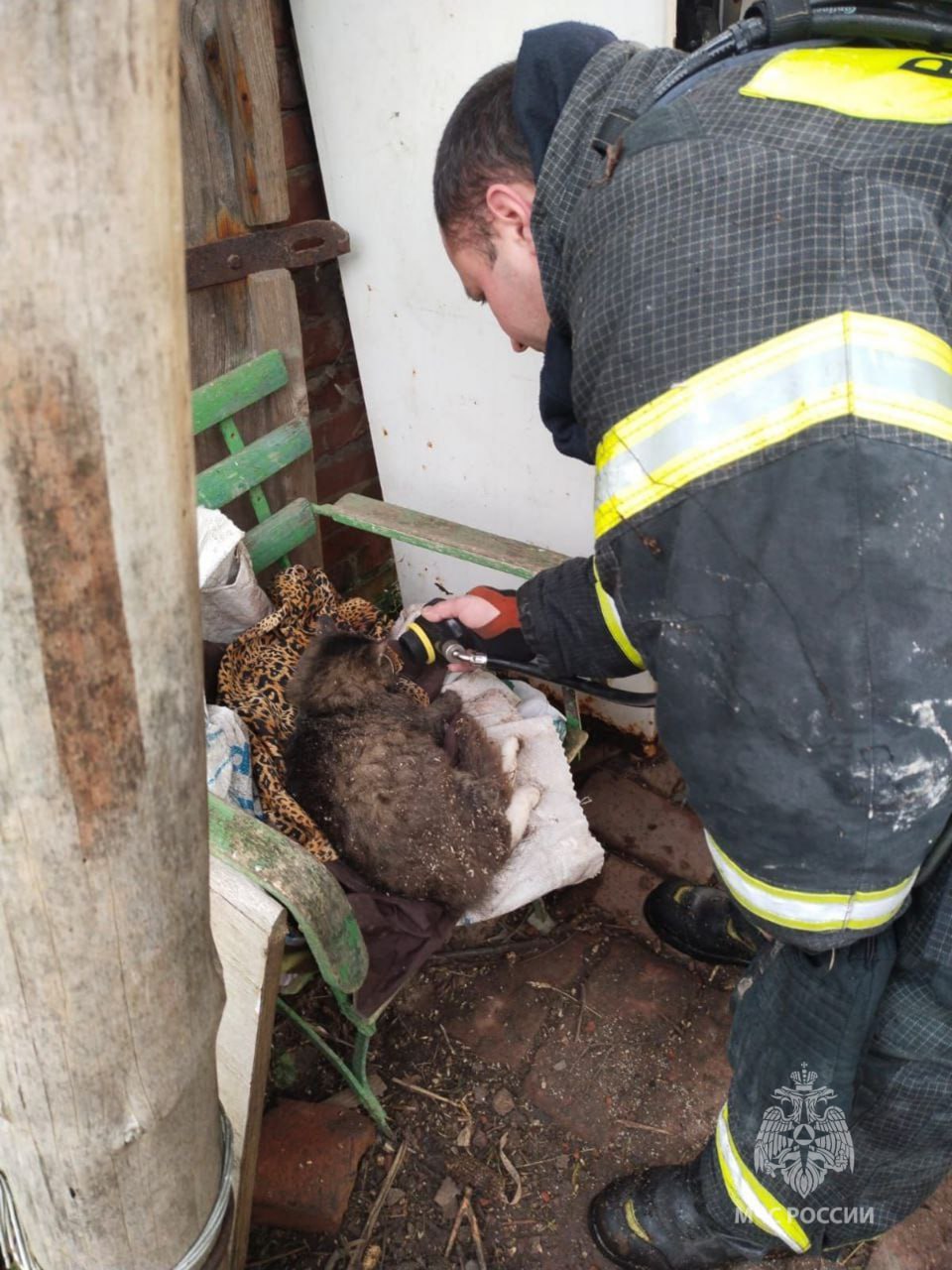 Сотрудники МЧС спасли кота из пожара в частном доме под Нестеровом