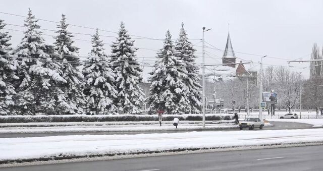 25 штрафов. Беспрозванных раскритиковал УК за снег