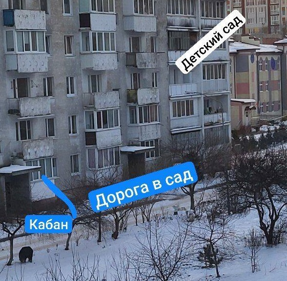 photo 2026 01 20 19 10 26