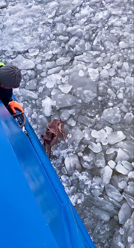 photo 2026 01 21 15 13 45