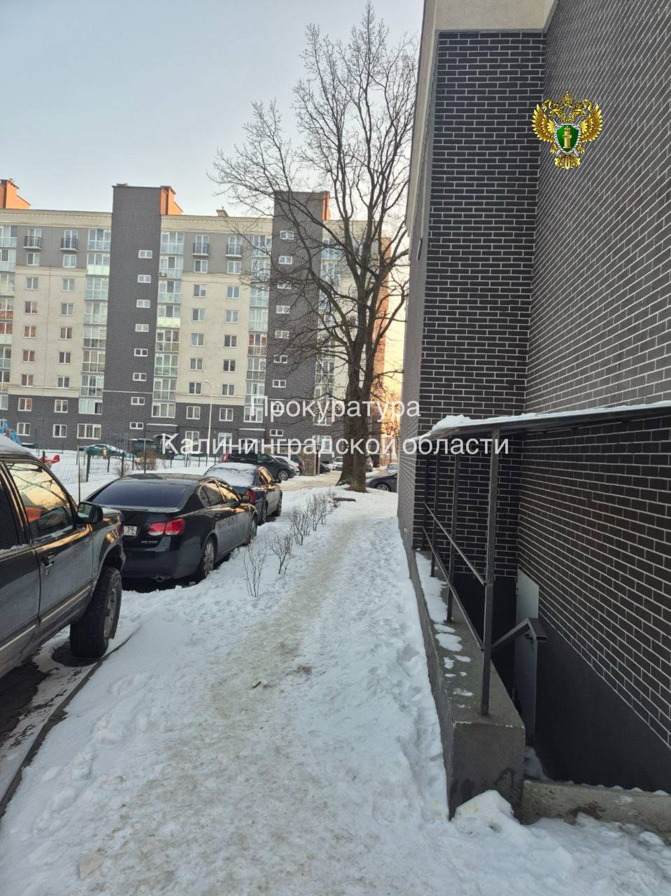 10-летняя девочка упала во дворе дома на улице Суздальской и получила перелом позвоночника