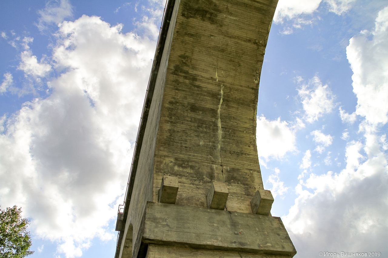 волшебный лес мост 2