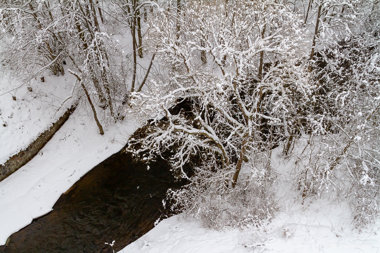 волшебный лес мост 4