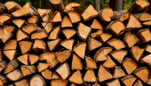 В Калининградской области с 1 февраля начнут принимать заявки на заготовку дров для льготников