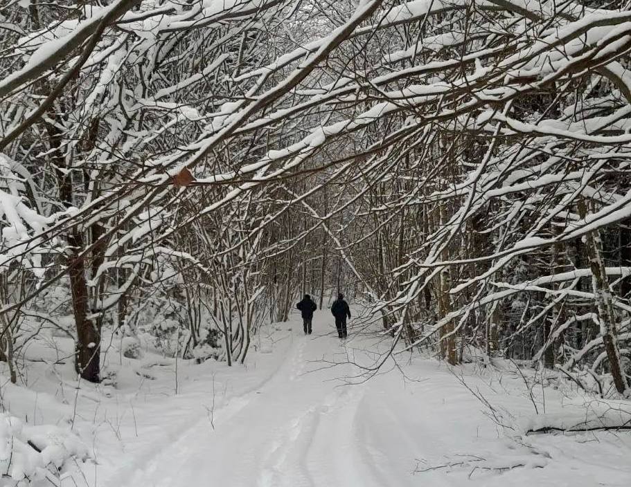 На развитие нацпарка «Виштынецкий» направят 160,8 миллионов рублей