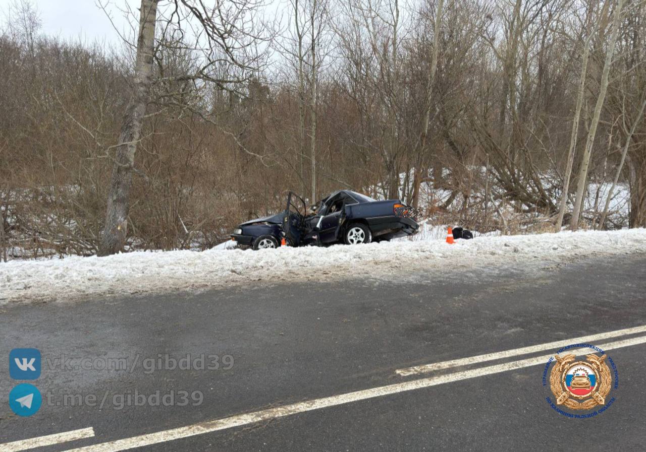 Под Зеленоградском «Ауди» врезалась в дерево