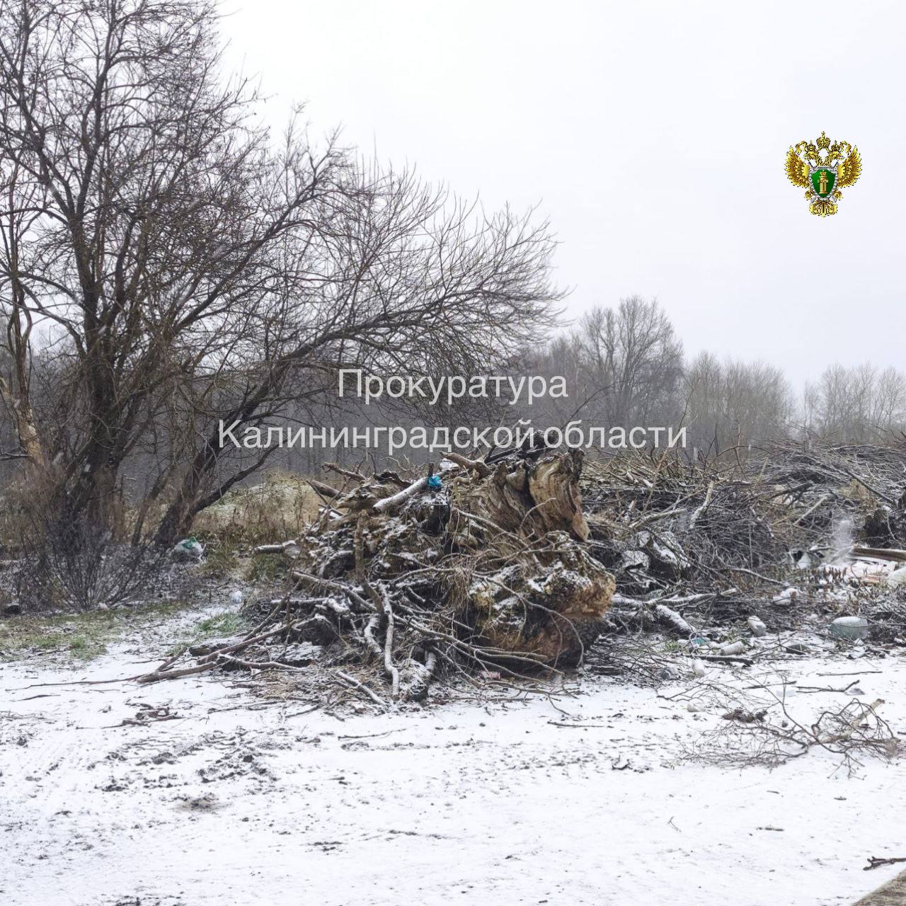 В Зеленоградском районе ликвидировали несанкционированную свалку В Зеленоградском районе ликвидировали несанкционированную свалку