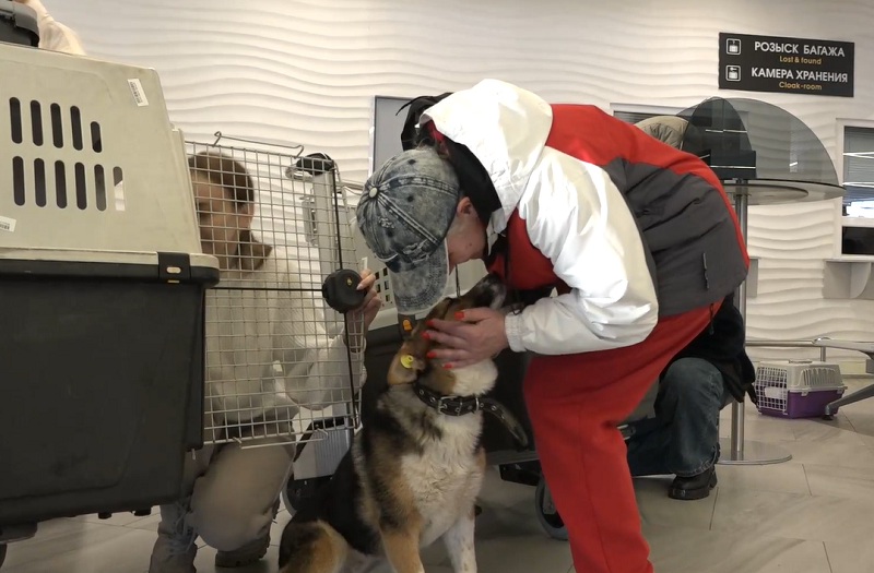 смуки в калининграде