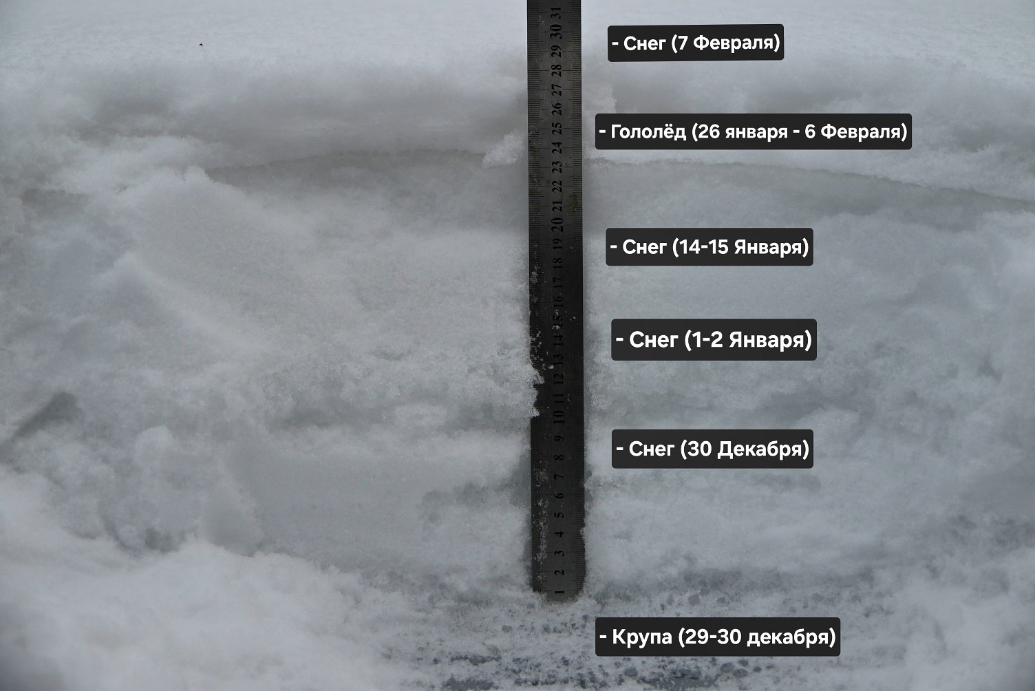 Снег в Калининграде впервые с 2011 года лежит уже больше 40 дней