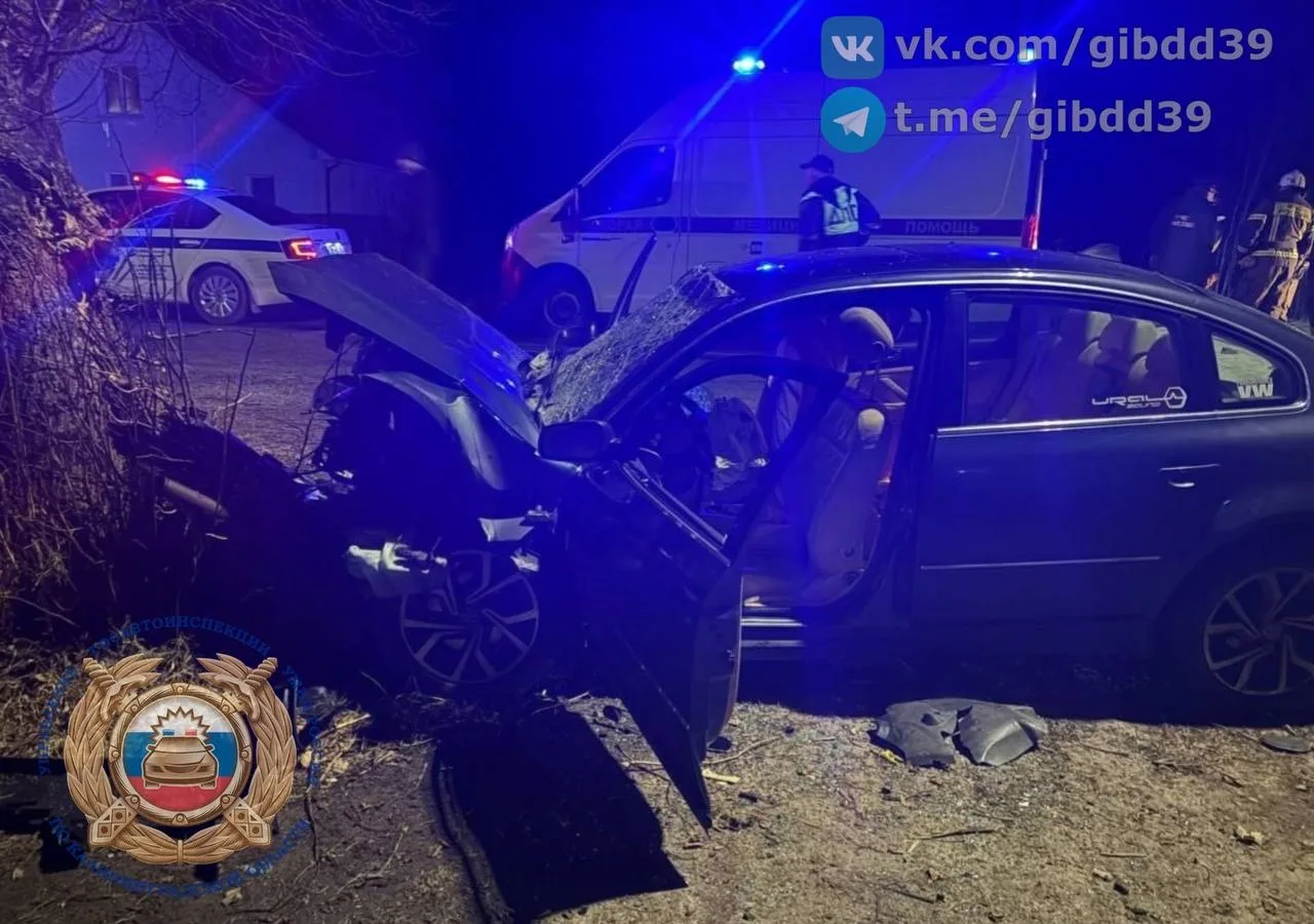 В Полесске 17-летний подросток без прав влетел на легковушке в дерево, пострадали 3 человека В Полесске 17-летний подросток без прав влетел на легковушке в дерево, пострадали 3 человека