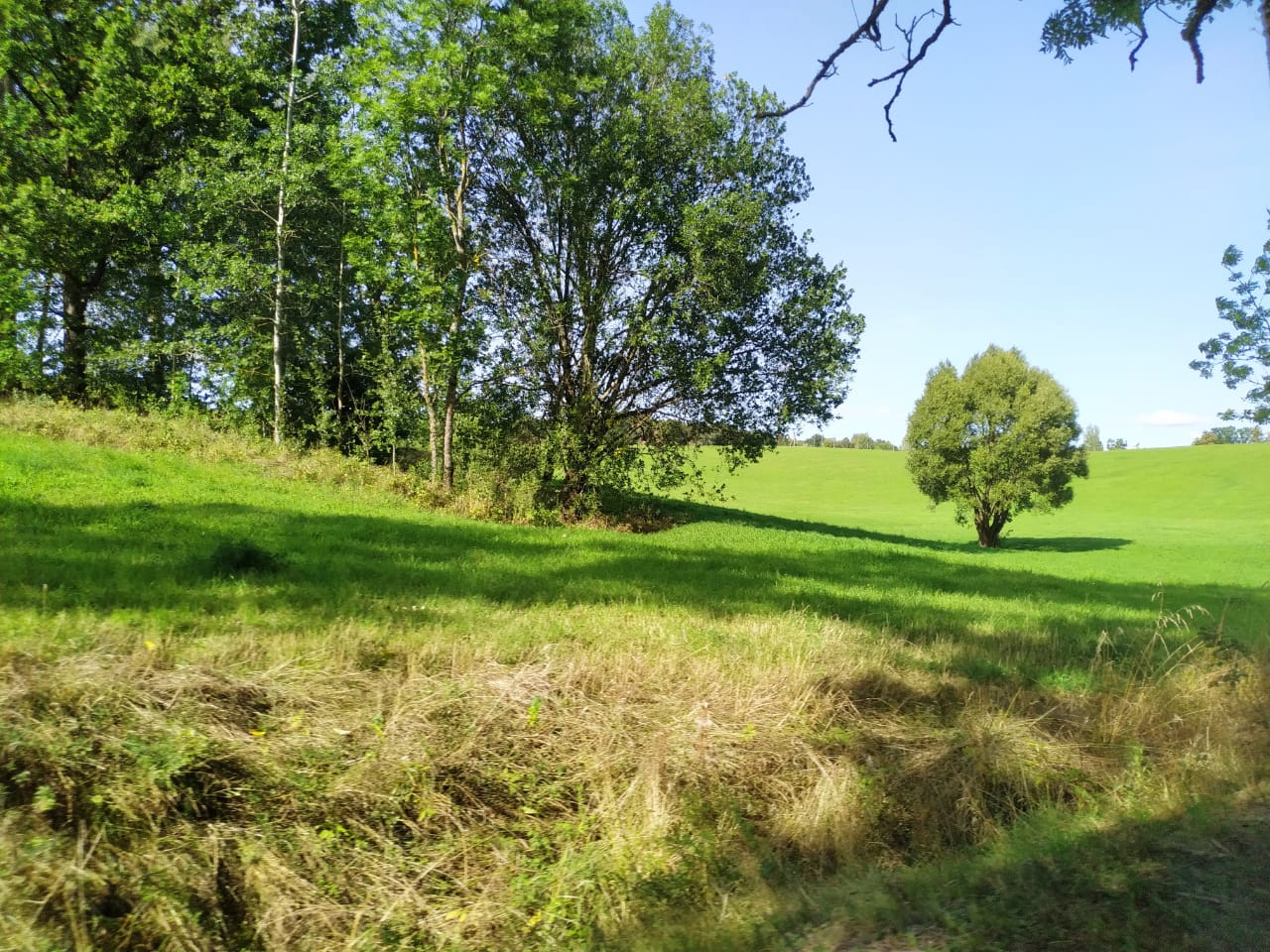 Вход в нацпарк «Виштынецкий» станет платным с 1 апреля Вход в нацпарк «Виштынецкий» станет платным с 1 апреля