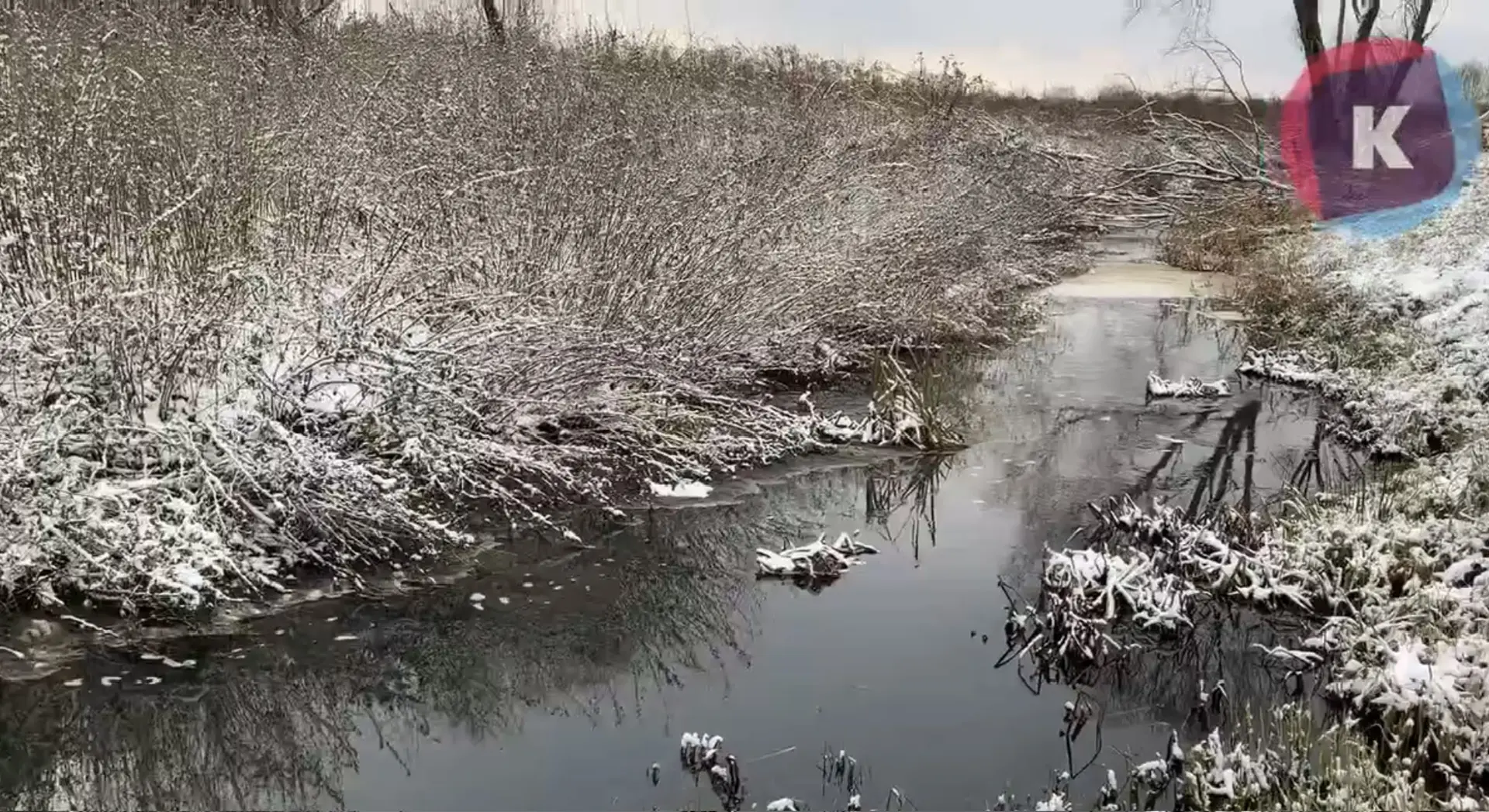 Росприроднадзор добился повышения штрафа «Балтптицепрому» до 250 миллионов рублей за загрязнение реки