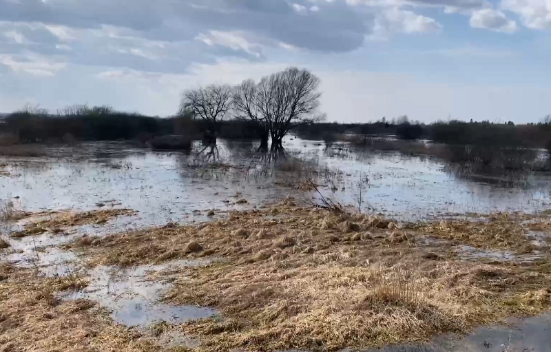 «Это не общество, а болото»: в гурьевском СНТ затопило 572 участка